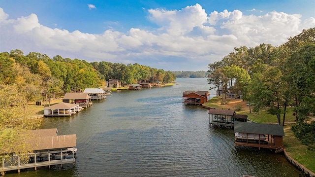 dock area with a water view