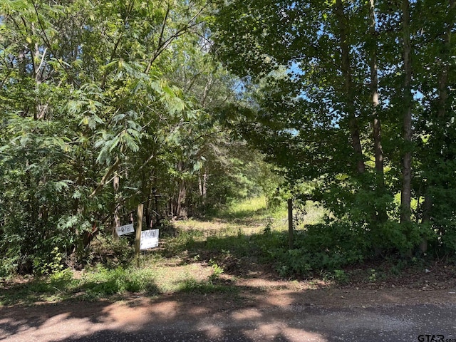 4078 County Rd 398, Tyler, TX 75705 - photo 1