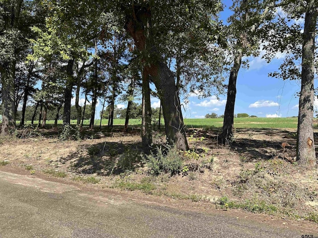 TBDLOT6 County Road 409th D, Henderson, TX 75654 - photo 2
