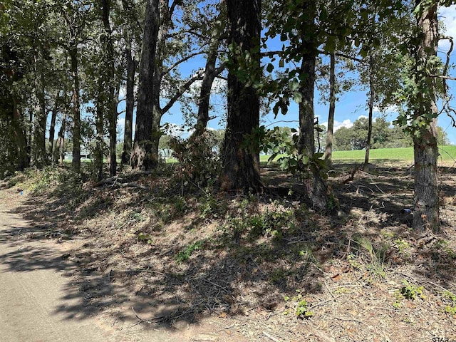 TBDLOT6 County Road 409th D, Henderson, TX 75654 - photo 6