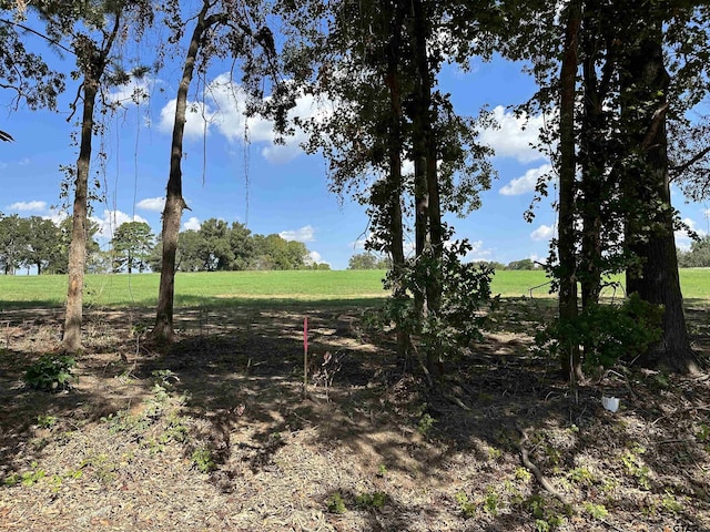 TBDLOT6 County Road 409th D, Henderson, TX 75654 - photo 4