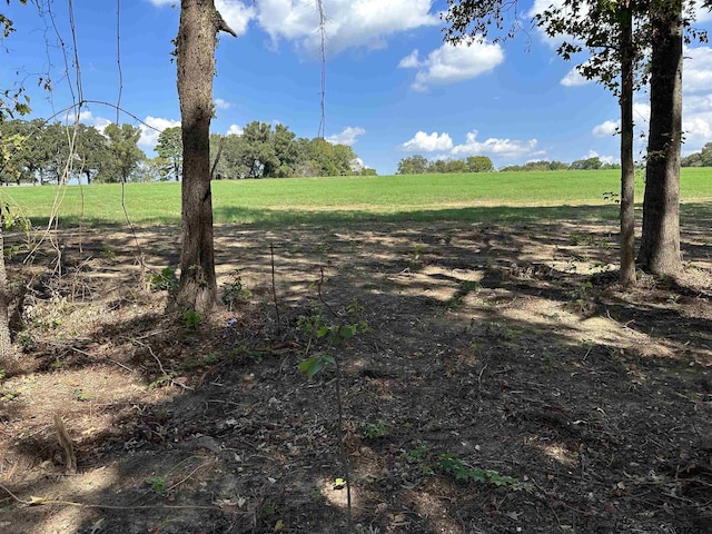TBDLOT6 County Road 409th D, Henderson, TX 75654 - photo 5