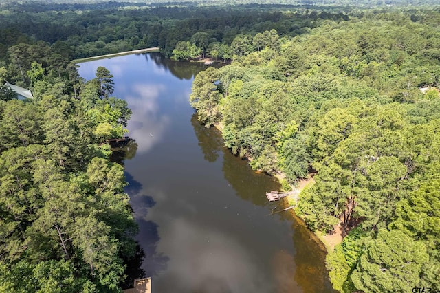 381 Winding Trl, Holly Lake Ranch, TX 75765 - bird's eye view of a heavily wooded area and a nearby body of water