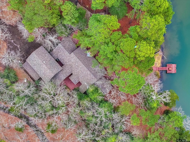 381 Winding Trl, Holly Lake Ranch, TX 75765 - view of subject property
