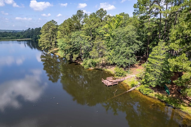 381 Winding Trl, Holly Lake Ranch, TX 75765 - water view featuring a heavily wooded area and a boat dock
