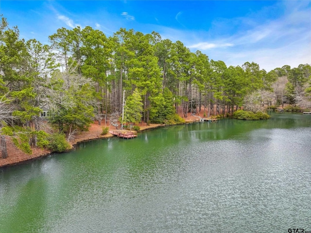 381 Winding Trl, Holly Lake Ranch, TX 75765 - water view with a heavily wooded area