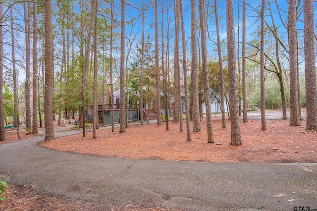 381 Winding Trl, Holly Lake Ranch, TX 75765 - view of yard with driveway
