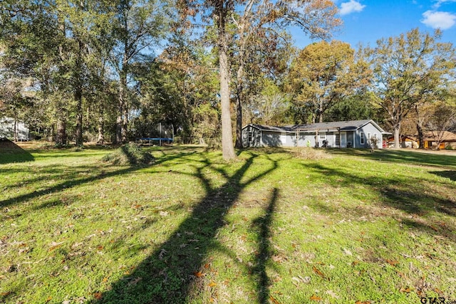 23280 Peninsula Pt, Frankston, TX 75763 - photo 22