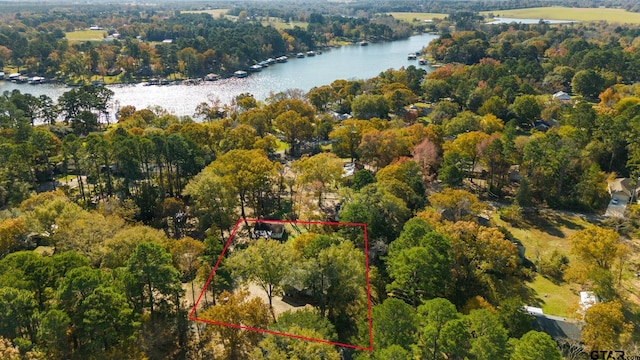 23280 Peninsula Pt, Frankston, TX 75763 - photo 3