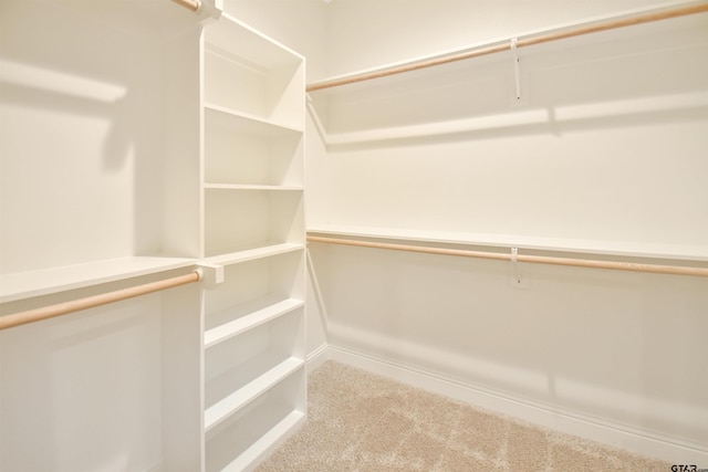 spacious closet with carpet floors