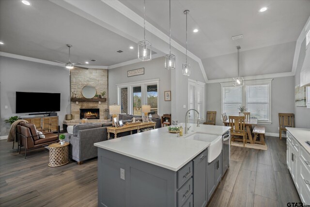 kitchen with a sink, gray cabinetry, light countertops, dark wood-type flooring, and crown molding