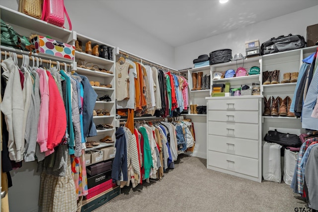 spacious closet featuring carpet