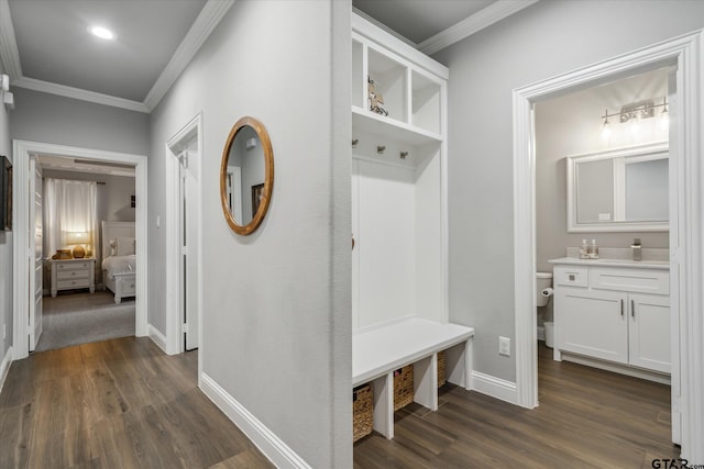 mudroom with a sink, dark wood-style floors, baseboards, and ornamental molding