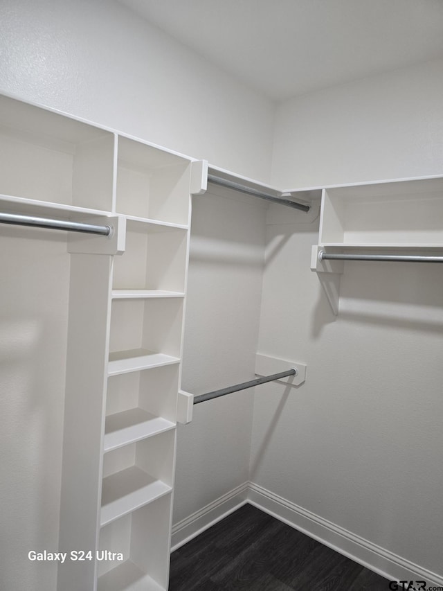 walk in closet featuring dark wood finished floors