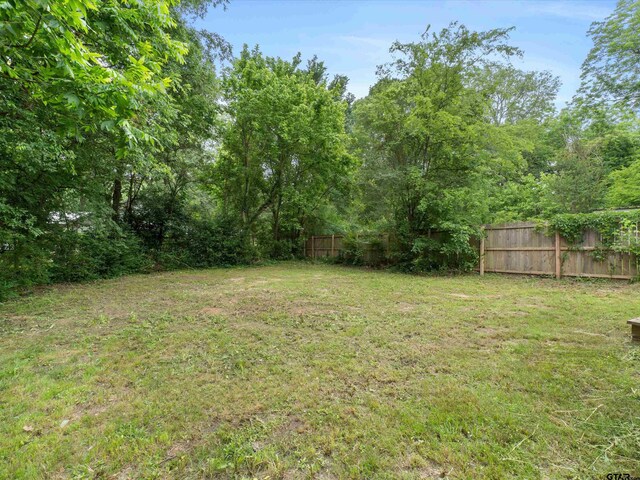 509 Clark St, Gilmer, TX 75644 - view of yard