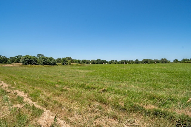 17215 Tartlon Rd, Mabank, TX 75147 - view of local wilderness featuring rural landscape