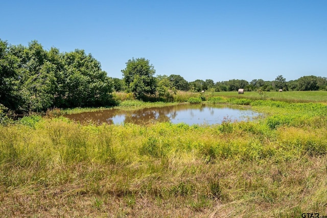 17215 Tartlon Rd, Mabank, TX 75147 - water view