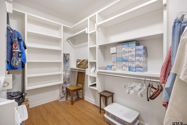 spacious closet with wood-type flooring