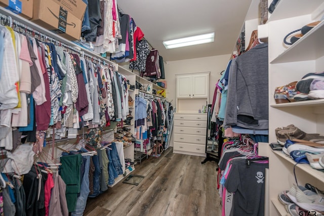 walk in closet featuring dark hardwood / wood-style floors