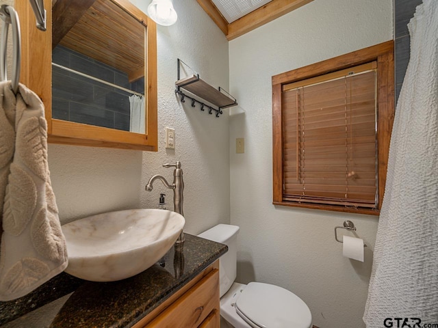 22090 Sportsmans Dr, Chandler, TX 75758 - bathroom with a textured wall, toilet, vanity, and curtained shower