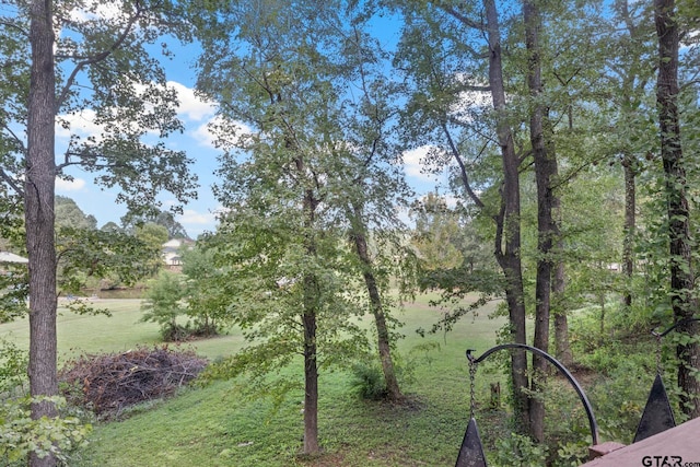 view of yard featuring a water view