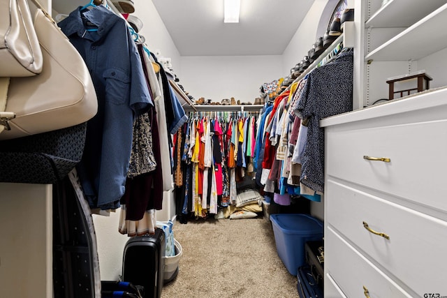 walk in closet featuring carpet floors