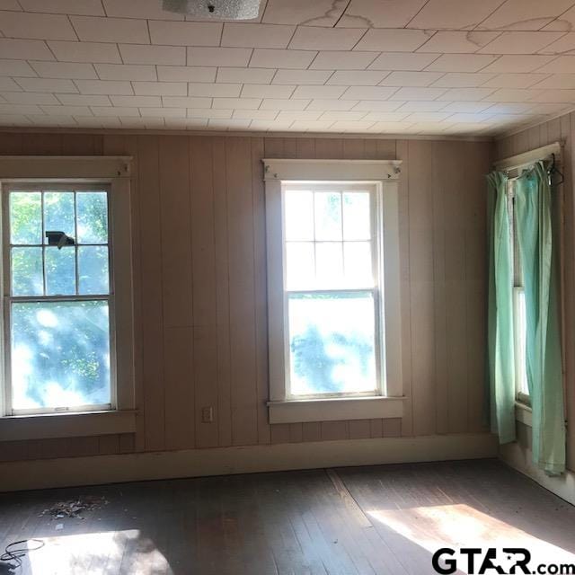 spare room with wood walls, hardwood / wood-style flooring, and a healthy amount of sunlight