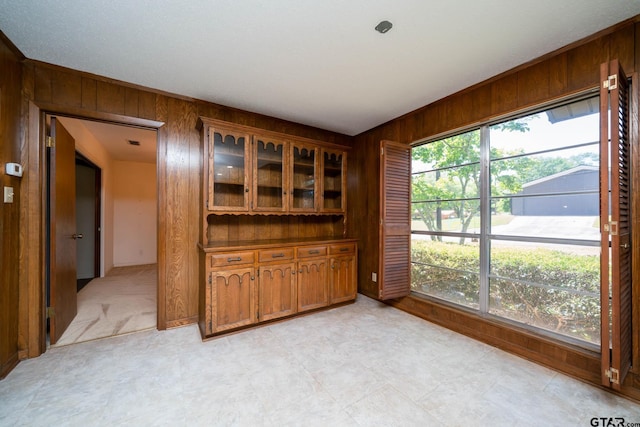 empty room with wood walls and a wealth of natural light