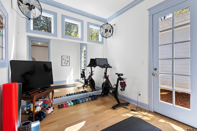 exercise room featuring a healthy amount of sunlight, ornamental molding, and hardwood / wood-style flooring