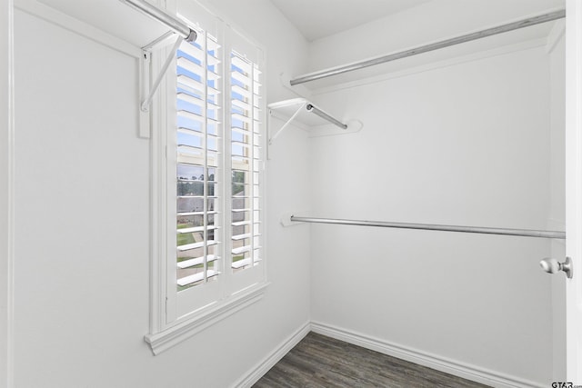 spacious closet with dark wood-type flooring