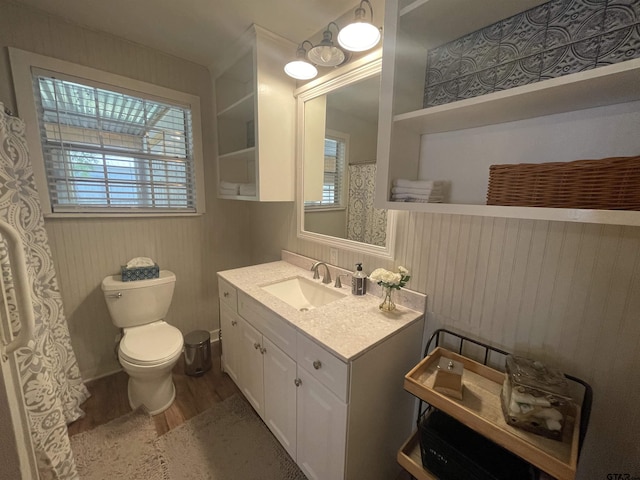 bathroom featuring vanity, wood-type flooring, and toilet