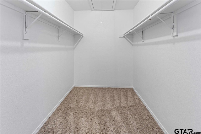 walk in closet featuring carpet floors