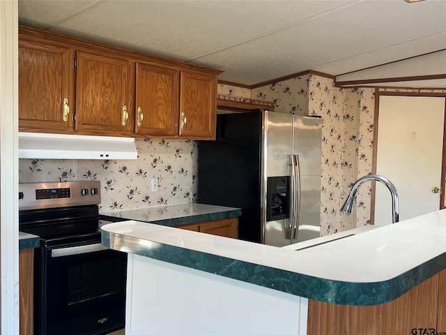 kitchen with sink, stainless steel appliances, and lofted ceiling