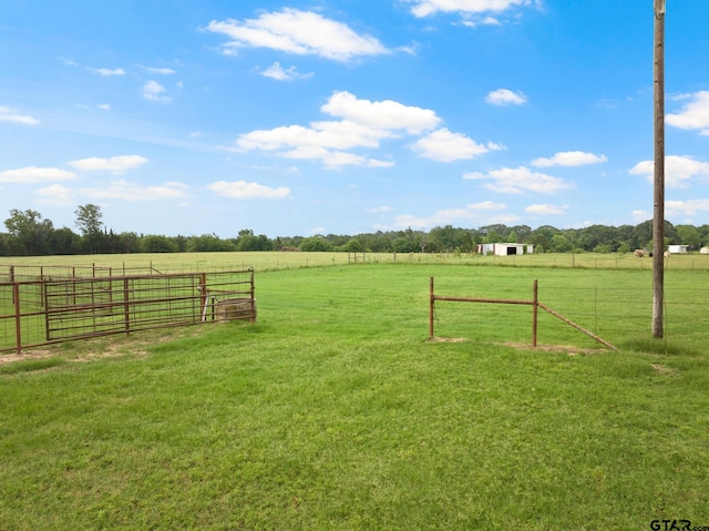 341 County Road 2510, Leesburg, TX 75451 - photo 33
