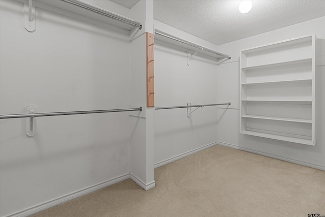 spacious closet featuring light colored carpet