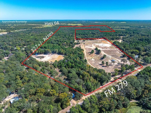 5205 Fm 279, Ben Wheeler TX, 75754 land for sale