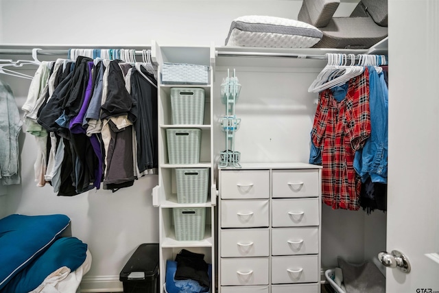 view of walk in closet