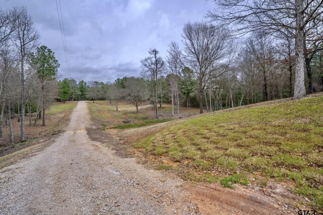 3381 Noonday Rd, Hallsville, TX 75650 - photo 39