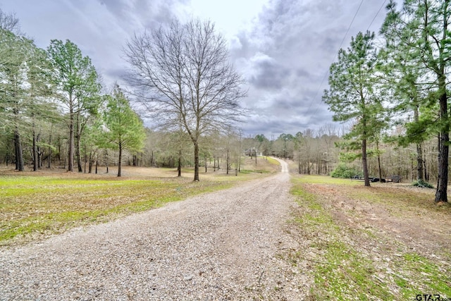 3381 Noonday Rd, Hallsville, TX 75650 - photo 3