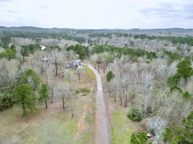 3381 Noonday Rd, Hallsville, TX 75650 - photo 40
