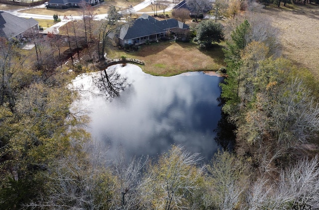 bird's eye view with a water view