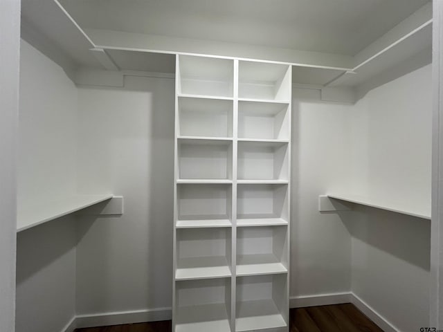 walk in closet with dark hardwood / wood-style flooring