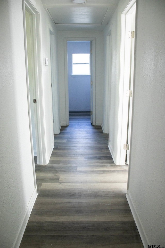 hall featuring dark hardwood / wood-style floors