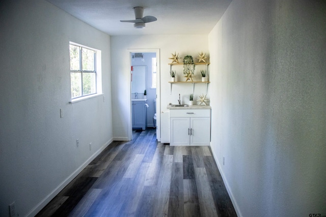 hallway with dark wood-type flooring