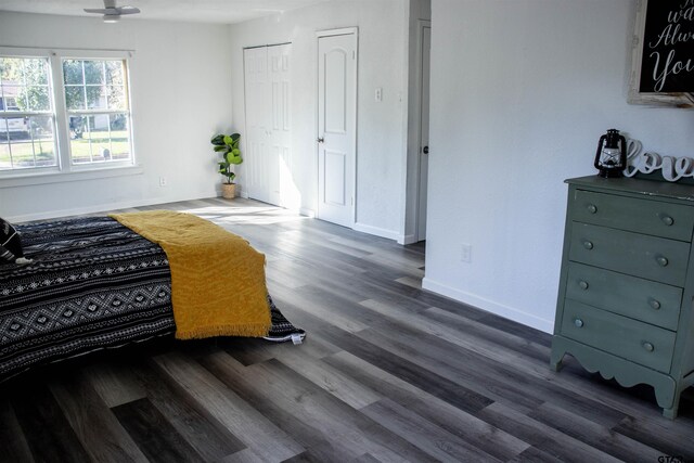 bedroom with dark hardwood / wood-style floors