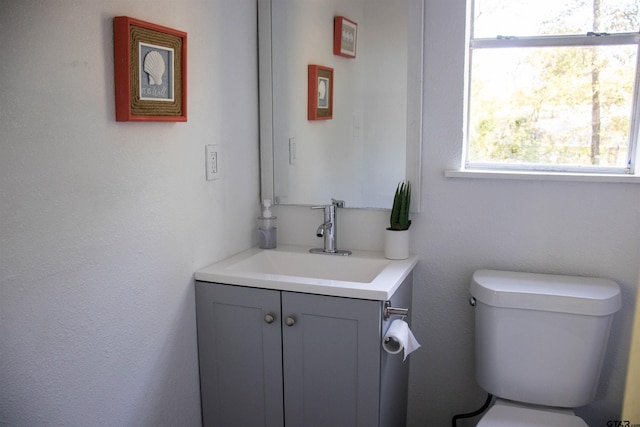 bathroom with toilet and vanity