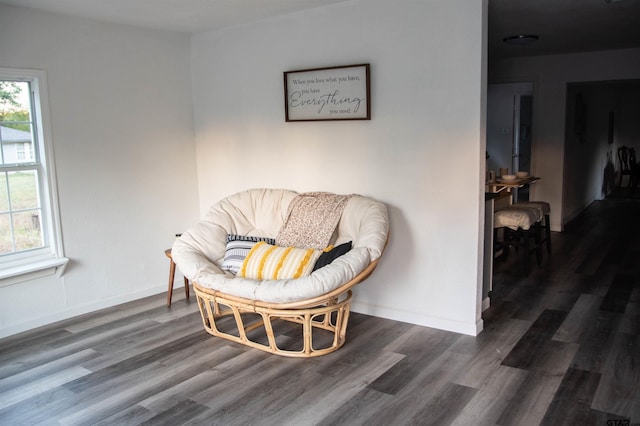 living area with dark hardwood / wood-style flooring