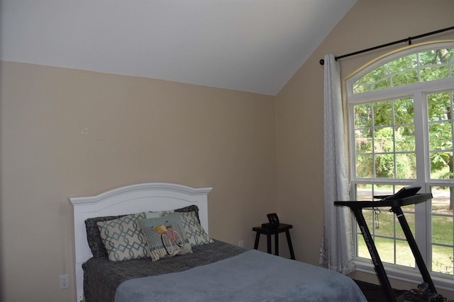 17387 Cherokee Trl, Flint, TX 75762 - bedroom with vaulted ceiling