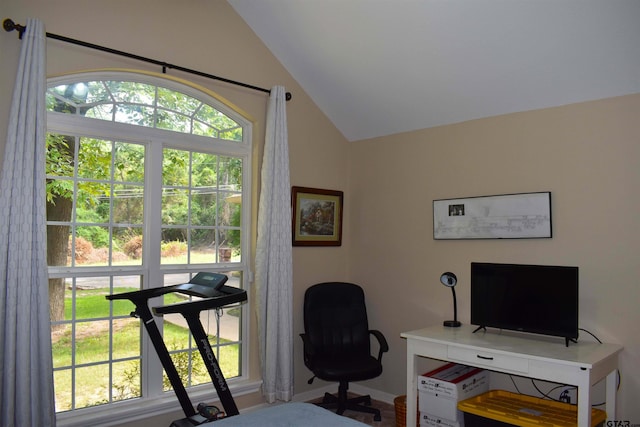 17387 Cherokee Trl, Flint, TX 75762 - office with lofted ceiling and baseboards
