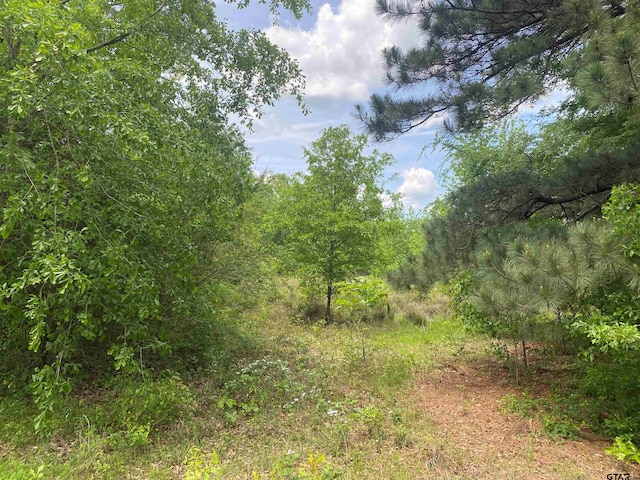 0001 Fm 2152, Mount Pleasant TX, 75455 land for sale